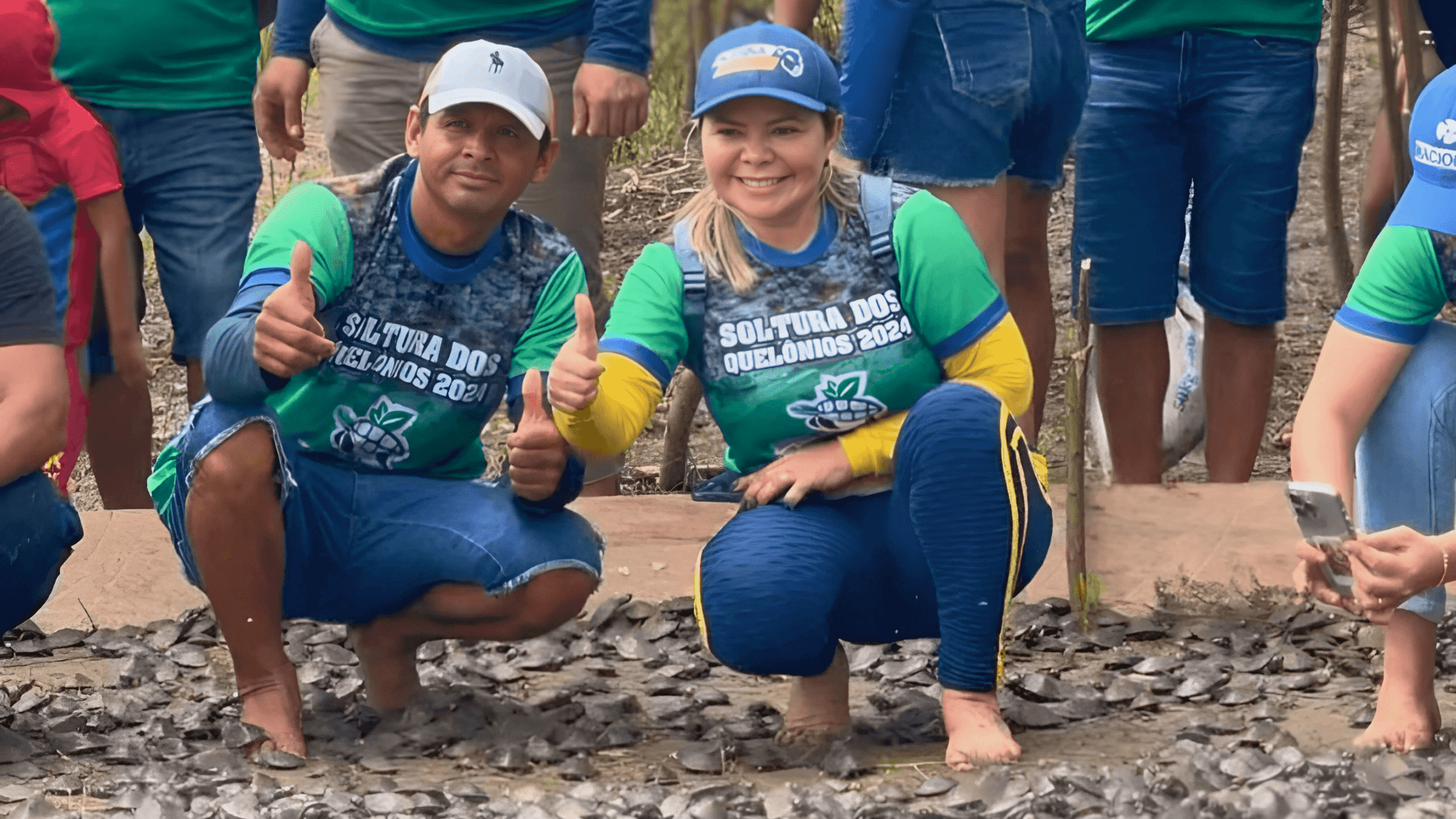 Soltura de Quelônios