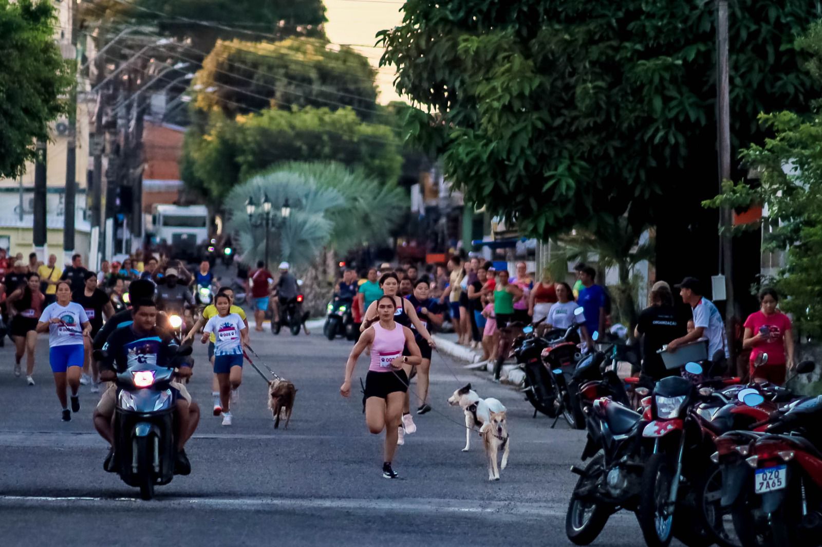2y-Cyominhada-de-Nhamundy-reyne-comunidade-promove-adoyyo-responsyvel-e-celebra-o-amor-pelos-animais-1.jpeg