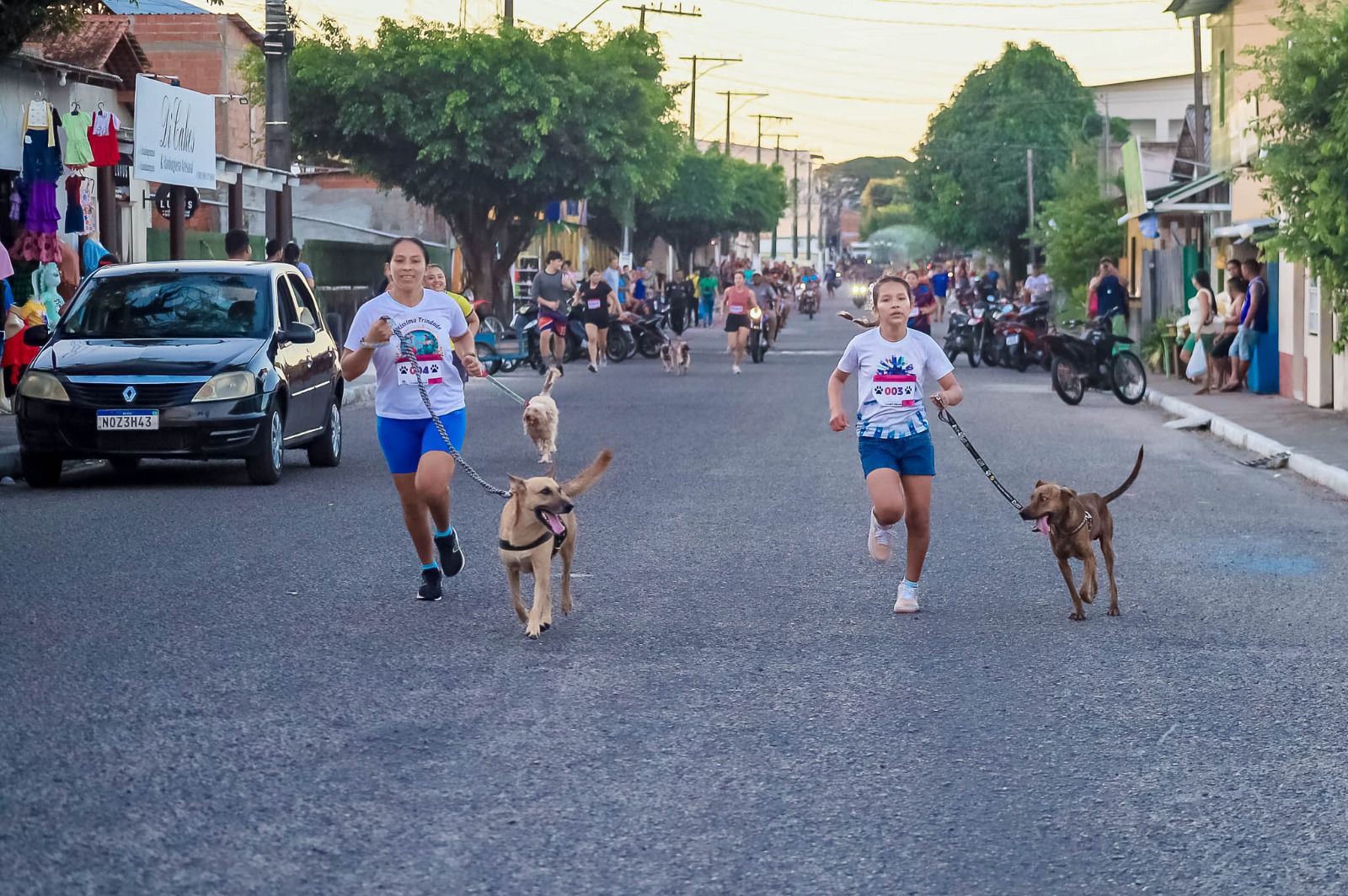 2y-Cyominhada-de-Nhamundy-reyne-comunidade-promove-adoyyo-responsyvel-e-celebra-o-amor-pelos-animais-2.jpeg